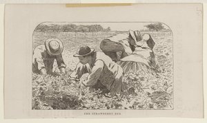 Mansikkamaa tekijältä Winslow Homer