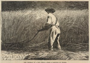 Veteraani uudella alalla, Frank Leslie