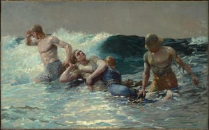 Vesivirta tekijältä Winslow Homer