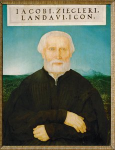 Humanisti Jakob Ziegler (maalaus kalkkipuulle)