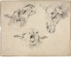 Lampaanpäät, 1800-luvun toinen tai kolmas neljännes.