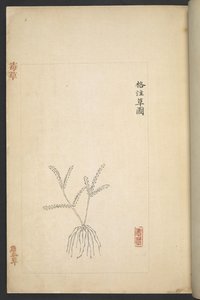 Tai 13347 B f.2r Plan 