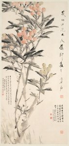 Pipa Loquats, c. 1888-89.