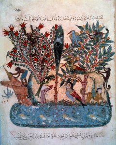 Salaperäinen saari, jossa on outoja eläimiä Miniatyyri otettu Abu Mohammed al-Kasim ibn Ali Haririn (1054-1122) "Maqamatista" (Seanssit), jonka valaisi Yahya Mahmud al-Wasiti (al Wasiti). ) vuonna 1237, Pariisi, B.N. tekijältä Yahya ibn Mahmud Al Wasiti