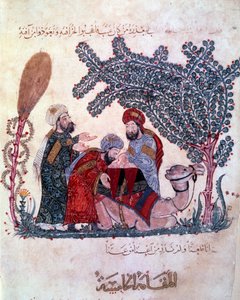 porvarillinen al-Harith (Al Harith), Hamamin poika, löytää viestin vaeltavalta navigaattorilta Abu-Zayd (Abu Zayd) -Hariri tai Al Hariri) (1054-1122) valaistuna tekijältä Yahya ibn Mahmud Al Wasiti