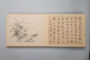 Hienostunutta eleganssia neljässä vuodenajassa Shiji seiga, Flower Paintings -albumi, 1844. tekijältä Yamamoto Baiitsu