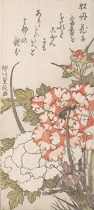 Pionit ja iirikset, 1700-1800-luku. tekijältä Yanagawa Shigemasa