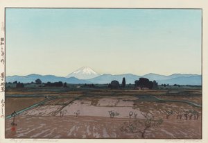 Fuji Musashinolta tekijältä Yoshida Hiroshi