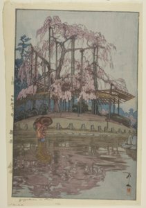 Yökirsikankukkien linja tekijältä Yoshida Hiroshi