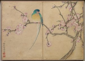 Pöytäalbumi: Bird with Plum Blossoms). tekijältä Zhang Ruoai