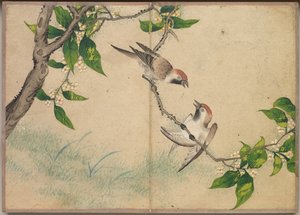 Pöytäalbumi: Kukka- ja lintumaalauksia Gossiping Sparrows, 17th Century.