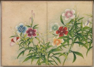 Pöytäalbumi: Flower and Bird Paintings Pinks, 17th Century.
