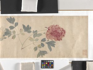 Värilliset kukat tekijältä Zhimian Zhou