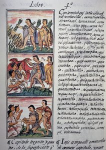 Uskomukset ja taikausko, Firenzen Codexin IV kirja, kaksikielinen versio espanjaksi ja nahuatliksi, Uuden Espanjan asioiden yleinen historia, atsteekkien sivilisaatio tekijältä Georg Carl Heinrich Dollmann
