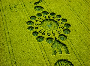 Viljaympyrä rapsipellolla, Milk Hill, Alton Priors, Vale of Pewsey, Wiltshire tekijältä Ferdinand Georg Waldmuller
