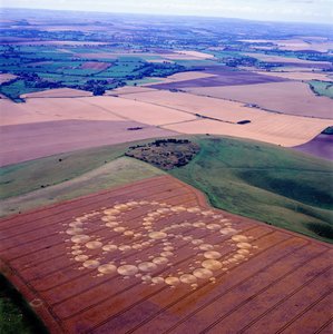 Viljaympyrä vehnäpellolla, Milk Hill, Alton Priors, Vale of Pewsey, Wiltshire