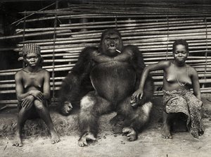 Gorilla (gelatiinihopeaprintti) tekijältä Hippolyte Lalaise Devéria
