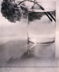 Hortensia, n 1907 tekijältä John Pardon