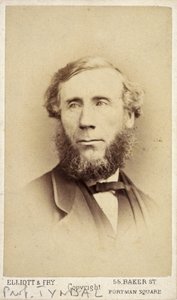 John Tyndall, irlantilainen fyysikko, c 1875 tekijältä Frederick (attr. to) Barnard