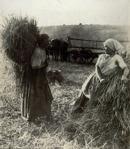 Harvesterit, noin 1900 tekijältä Frederick (attr. to) Barnard