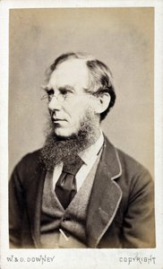 Sir Joseph Dalton Hooker, brittiläinen kasvitieteilijä, 1800-luvun loppu tekijältä Ferdinand Georg Waldmuller