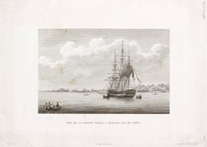 "Coquille" Pointe Venuksella, Tahitin saarella tekijältä Frederick (attr. to) Barnard