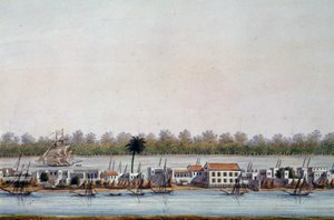 Näkymä St Louisiin, Senegaliin tekijältä William Walcutt