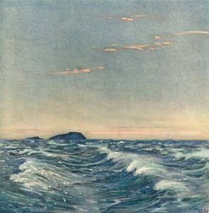 Valkoiset hevoset