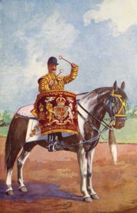 Rumpuhevonen 1st Life Guardista