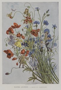 Fleurs Animees. Bleuets et Coquelicots. (Animoidut kukat: ruiskukat ja unikot)