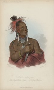 Meach-o shin-gaw, Pieni valkoinen karhu, Konza Warrior (akvatinta)