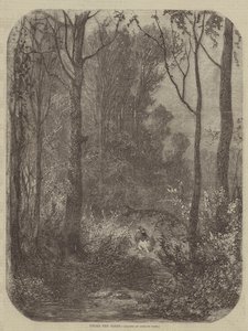 Puiden alla tekijältä Gustave after Dore