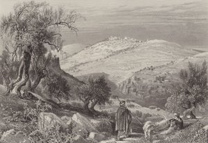 Olivetin nousu
