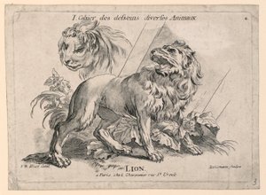 Studies of Lions, levy 4, "Cahier des Desseins Diverse Animalaux"