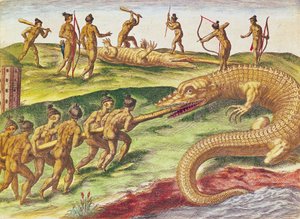 Metsästyskrokotiileja, "Brevis Narratiosta...", julkaisija Theodore de Bry, 1591, (värikaiverrus) tekijältä after Le Moyne, J.Bry