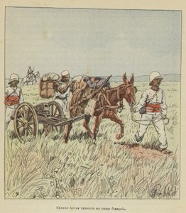 Hova-tykit tuotiin takaisin Ranskan leiriin tekijältä after Louis Charles Bombled