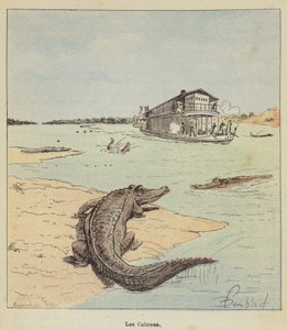 Alligaattorit tekijältä after Louis Charles Bombled