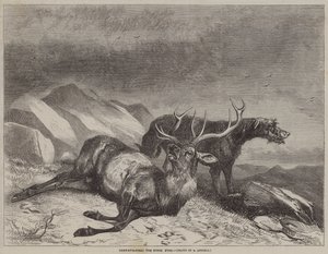 Deer-Stalking, Dying Stag tekijältä after Richard Ansdell
