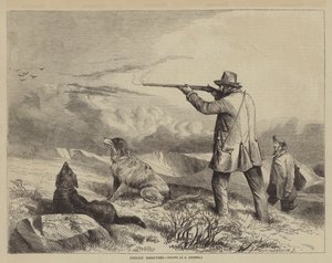 Grouse Ammunta tekijältä after Richard Ansdell