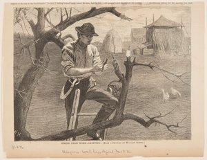 Kevättyöt - Varttaminen tekijältä Winslow Homer
