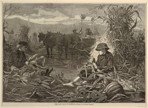 The Last Days of Harvest, Harper