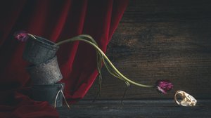 Tumma kukkainen pääkallo tekijältä alan shapiro