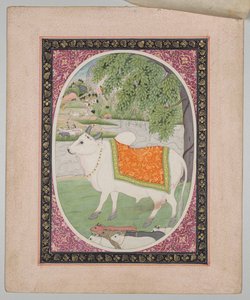 Härkä, Mandi Astrology -sarjasta tekijältä attributed to Sanju