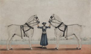 Syce Groom pitelee kahta vaunuhevosta, n. 1845. tekijältä attributed to Shaikh Muhammad Amir of