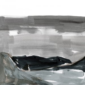 Tiivistelmä: Harmaat vuoret tekijältä cartissi