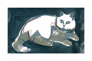 Taiteellinen valkoinen kissa tekijältä cartissi