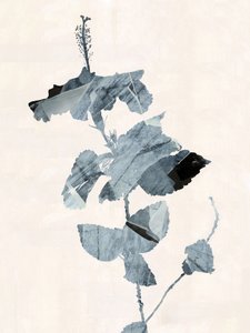 Hibiskuskukka – abstrakti tekijältä cartissi