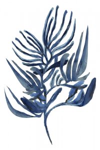 Indigo-kasvitutkimus