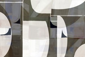 Nykyaikaiset abstraktit käyrät tekijältä cartissi