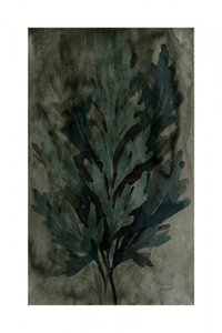 Moody Botanical -lehdet tekijältä cartissi